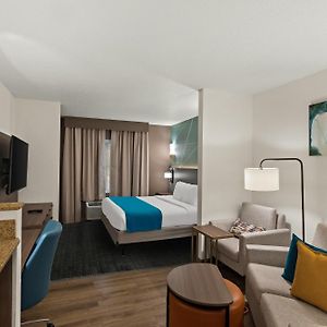 Suite Accessible aux Personnes à Mobilité Réduite Lit King-Size