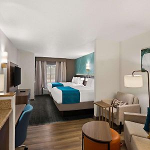 Suite Lit Queen-Size