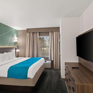 Suite Lit King-Size